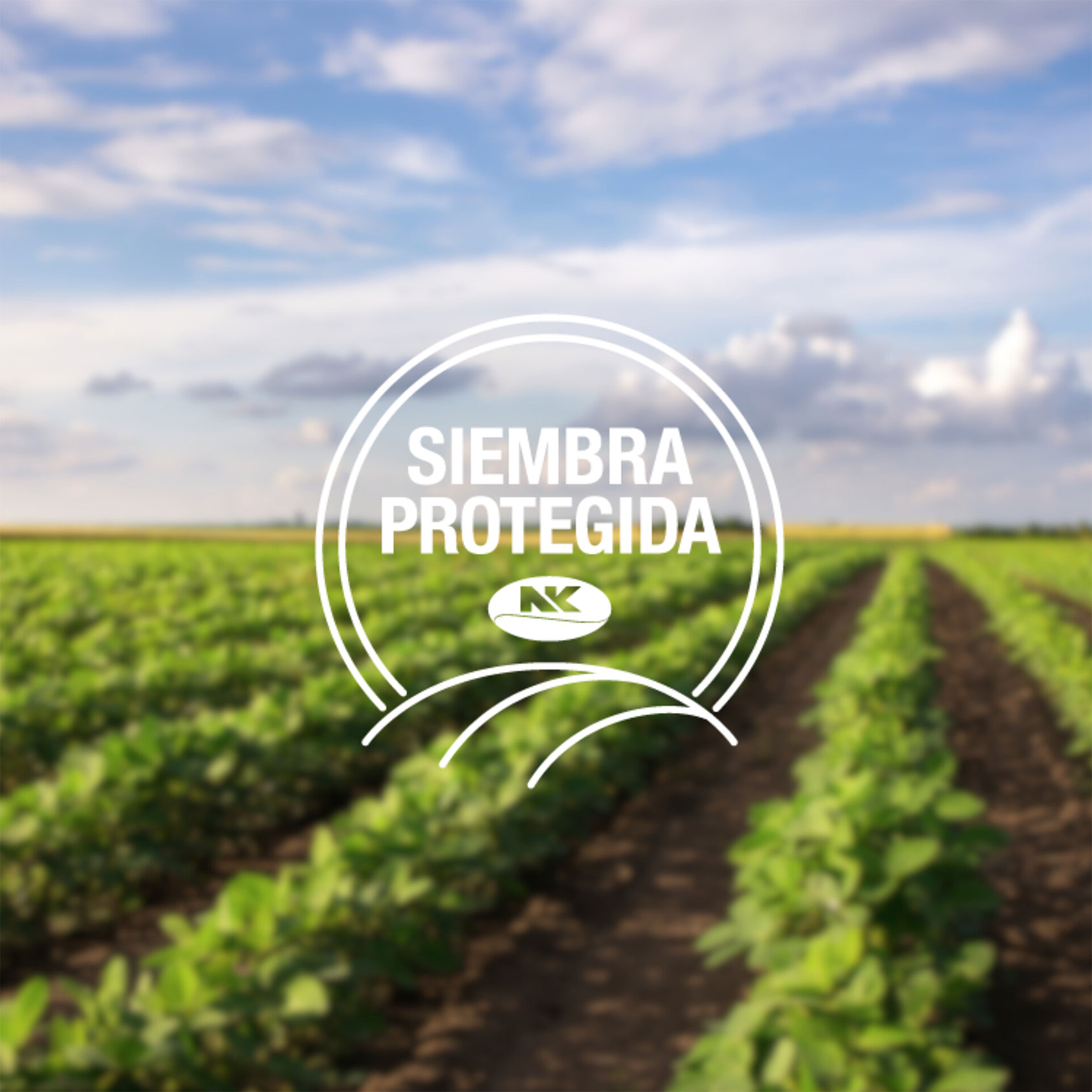 siembra_protegida_web